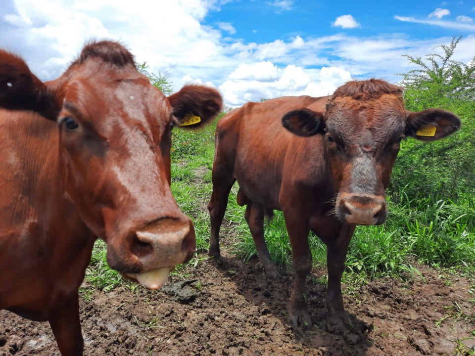 image_2025-04-28_121337778