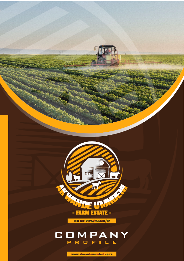 image_2025-04-28_121800895